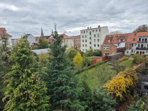 a group of trees in a city with buildings at Domspitze in Schwerin