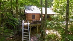 a log cabin in the woods with a ladder at Trillium in Banner Elk