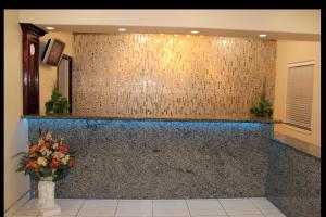 Vstupní hala nebo recepce v ubytování Texas Inn & Suites McAllen at La Plaza Mall and Airport + 32 fotografií