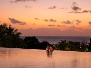 Un paisaje natural cerca del resort