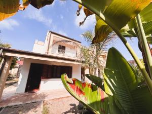 une maison avec un palmier devant dans l'établissement Dimora Lucci Marini, à Tarente