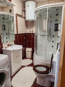 Ένα μπάνιο στο Apartman Dačo +20 φωτογραφίες