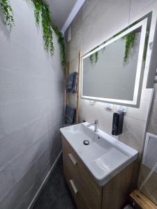 a bathroom with a white sink and a window at Duplex moderne au cœur de Saverne in Saverne