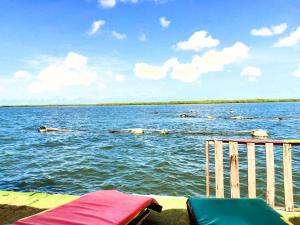 a group of people rowing a boat in the water at La Cabane Rasta - Mar Lodj in Mar Lodj +41 photos