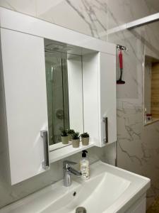 ein Waschbecken mit Spiegel und Topfpflanzen in der Unterkunft al centro apartment in Shkodra
