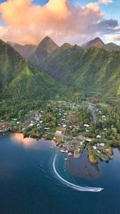 an aerial view of a small island in a body of water at Teahupo'o Lodge Tahiti - Studio Evasion - climatisé - entre randonnées et activités nautiques in Teahupoo