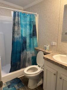 a bathroom with a toilet and a blue shower curtain at Luxury Cabin#13 in Ocala +7 photos