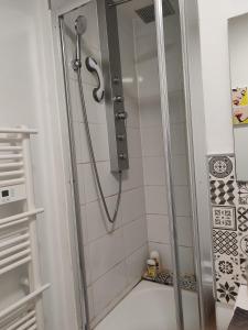 a shower with a glass door in a bathroom at Le Grand Coquet in Besançon +18 photos