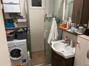 a bathroom with a sink and a washing machine at Basca Lux apartman in Sarajevo