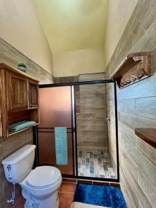 a bathroom with a toilet and a shower at Suite Atún - Justo Centro y a Pasos de la Playa in Loreto +30 photos
