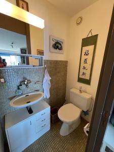 een badkamer met toilet en wastafel bij Cozy apartment with stunning view in Anzère +7 foto's