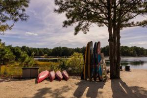 un groupe de planches de surf est aligné à côté d'un arbre dans l'établissement Private Lakefront Retreat The Cottage at Haven, à Swain