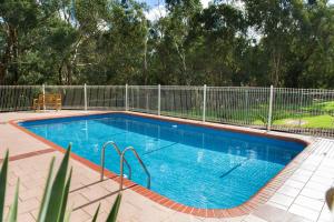 a swimming pool in a yard with a fence at Box Hill Motel in Burwood