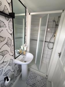 a bathroom with a sink and a shower at Amy's Suite in Killarney