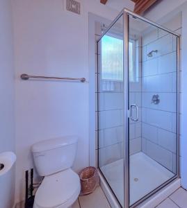ein Badezimmer mit Toilette und Glasdusche in der Unterkunft Sea Breeze Cottage #1 in Ocean Shores