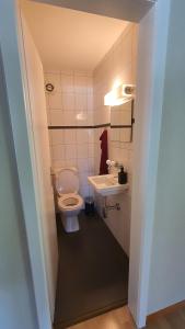 OberriedにあるApartment by Lake Brienz with lake viewのトイレと洗面台のある小さなバスルーム +19枚の写真