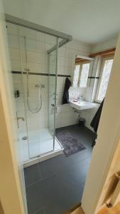 OberriedにあるApartment by Lake Brienz with lake viewのシャワーと洗面台付きのバスルーム