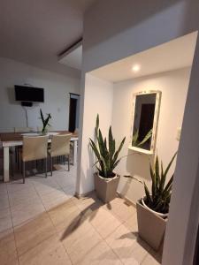 sala de estar con mesa y 2 macetas en DepartamentoLencinas, en San Fernando del Valle de Catamarca