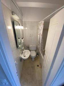 a small bathroom with a toilet and a sink at Aegean Hill Retreat in Neos Voutzas