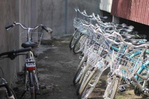 Gallery image of Island Beach Bungalow in Gili Trawangan
