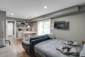 Η κουζίνα ή μικρή κουζίνα στο Near Hospitals and Metro Access Studio in Cheverly