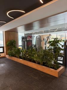 キトにあるSuite de Lujo Adagioの建物内の植物の展示ケース