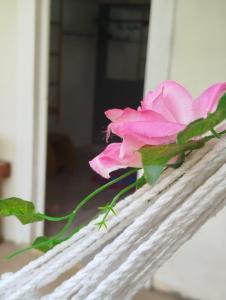 Fotografie z fotogalerie ubytování Honney Hostel v destinaci Chapada dos Guimarães