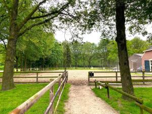 Gallery image of Rutershoeske in Veendam