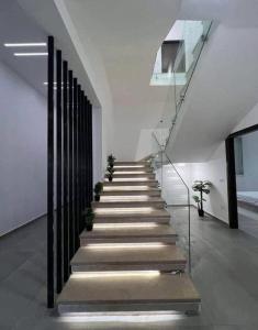 a stairway in a building with stairs with potted plants at Abu yousef chalet in Irbid