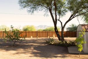 un cortile con recinto e albero di Sonoran Peach House - 5BR Winter Retreat, Big Yard, Fireplace a Tucson