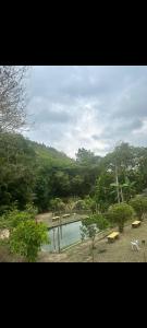 Příroda nedaleko kempu