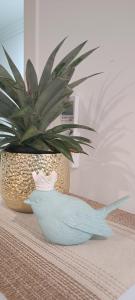 a potted plant and a bowl on a table at Byron Bay Nest Homestay in Byron Bay
