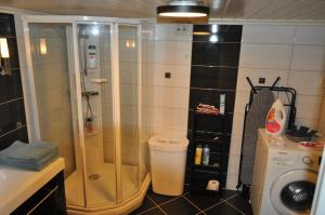 a bathroom with a shower and a washing machine at FREDNES COSY RETREAT - One Bedroom Apartment in Porsgrunn +21 photos