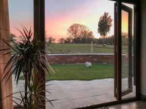 a window view of a field with a dog in the grass at Chick Hatch Barn in Kelsale