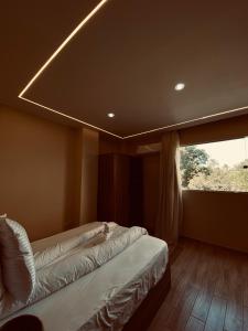 GizaにあるPyramids Night Hotel &Free pickup shuttleのベッドが2つと大きな窓がある寝室 +19枚の写真