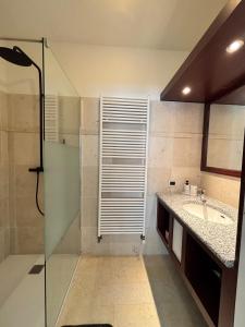een badkamer met een glazen douche en een wastafel bij Spacious and comfortable apartment in Knokke-Heist +11 foto's