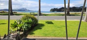 a view of the beach from a park with palm trees at Anchorage Motel in Whitianga