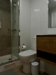 a bathroom with a toilet and a glass shower at Central depto 2 dormitorios en distrito Icono in Los Ángeles
