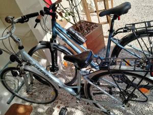 Rattasõit majutusasutuse Chambre d'hôtes cosy à Montargis avec terrasse privative - FR-1-590-586 aladel või selle läheduses +7 fotot