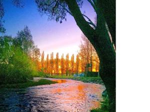 una imagen de un río con un árbol en primer plano en Colac Colac Caravan Park, en Corryong