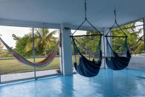 two hammocks hanging in a room with windows at Compound sleeps 20, bedrooms with AC, Gated Parking and hot baths in Ladyville
