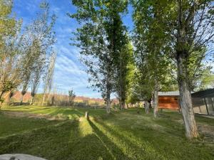 a house in the middle of a field with trees at Hosteria Huaco in Huaco