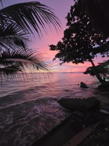 Phong cảnh thiên nhiên gần căn hộ