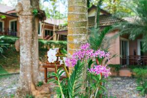 un arbre aux fleurs violettes et blanches devant une maison dans l'établissement Thai Modern Resort & Spa "Newly Renovated", à Chalong 213 autres photos