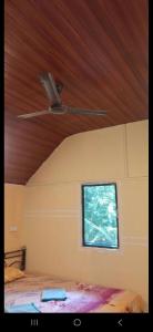 TV a/nebo společenská místnost v ubytování Green Garden Resort