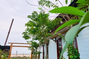 un bâtiment avec des plantes sur le côté dans l'établissement Homestay Shangri- La, à Ấp Sung Xuân