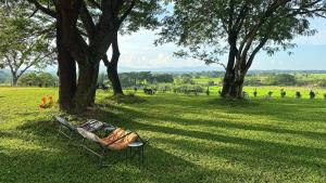 a person laying on a bench under a tree at Healstay in Nan
