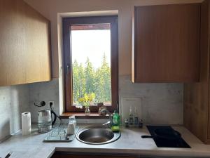 Η κουζίνα ή μικρή κουζίνα στο Апартаменты Гранд Ризорт с камином и видом на лес +57 φωτογραφίες