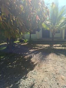 Κήπος έξω από το Guguski Homes