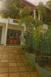 a house with a bunch of plants in front of it at Comfy Stay in Badulla